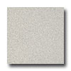 Armstrong Armstrong Possibilities Petit Point Pearl Gray Vinyl Flooring