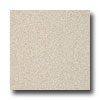 Armstrong Armstrong Possibilities Petit Point Pebblewash Vinyl Flooring
