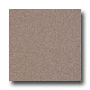 Armstrong Armstrong Possibilities Petit Point Purple Brown Vinyl Flooring