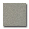 Armstrong Armstrong Possibilities Petit Point River Bed Vinyl Flooring