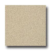 Armstrong Armstrong Possibilities Petit Point Sand Bar Vinyl Flooring
