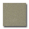 Armstrong Armstrong Possibilities Petit Point Tea Garden Green Vinyl Floor