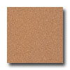 Armstrong Armstrong Possibilities Petit Point Terra Firma Vinyl Flooring