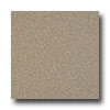 Armstrong Armstrong Possibilities Petit Point Wet Sand Vinyl Flooring