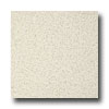 Armstrong Armstrong Possibilities Petit Point White Sand Vinyl Flooring