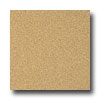 Armstrong Armstrong Possibilities Petit Point Woodtone Blush Vinyl Floorin