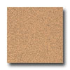 Armstrong Armstrong Safeguard - Slip Retardant Cinnamon Vinyl Flooring