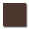Armstrong Armstrong Safeguard - Slip Retardant Dark Brown Vinyl Flooring