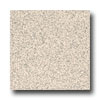 Armstrong Armstrong Safeguard - Slip Retardant Light Beige Vinyl Flooring