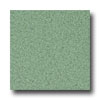 Armstrong Armstrong Safeguard - Slip Retardant Light Green Vinyl Flooring