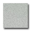 Armstrong Armstrong Safeguard - Slip Retardant Light Gray Vinyl Flooring