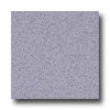 Armstrong Armstrong Safeguard - Slip Retardant Lilac Vinyl Flooring