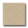 Armstrong Armstrong Safeguard - Slip Retardant Sand Vinyl Flooring