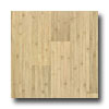 Armstrong Armstrong Timberline Natural Gray Bamboo Vinyl Flooring