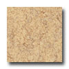 Armstrong Armstrong Translations Almond Vinyl Flooring