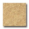 Armstrong Armstrong Translations Antique Brown Vinyl Flooring