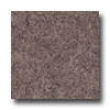 Armstrong Armstrong Translations Cafe Mocha Vinyl Flooring