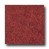 Armstrong Armstrong Translations Cherry Red Vinyl Flooring