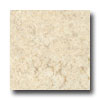 Armstrong Armstrong Translations Creamy White Vinyl Flooring