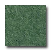 Armstrong Armstrong Translations Jungle Green Vinyl Flooring