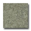 Armstrong Armstrong Translations Sage Vinyl Flooring