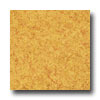 Armstrong Armstrong Translations Yellow Straw Vinyl Flooring