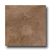 Tesoro Tesoro Indian Slate 13 X 13 Navajo Marron Tile  &  Stone