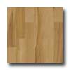 Harris-Tarkett Harris-tarkett Foundations Maple Suede Hardwood Flooring