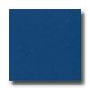 Armstrong Armstrong Colorette With Naturcote Blue Raspberry Vinyl Flooring