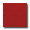 Armstrong Armstrong Colorette With Naturcote Cherry Vinyl Flooring