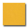 Armstrong Armstrong Colorette With Naturcote Lemon Vinyl Flooring