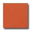 Armstrong Armstrong Colorette With Naturcote Orange Vinyl Flooring