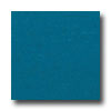 Armstrong Armstrong Colorette With Naturcote Seaberry Vinyl Flooring