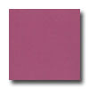 Armstrong Armstrong Colorette With Naturcote Watermelon Vinyl Flooring