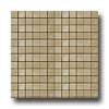 Emser Tile Emser Tile Antique  &  Tumbled Stone Mosaic 1 X 1 Square Trav Anci