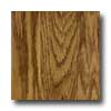 Domco Domco Customflor - Fiesta 12 65041 Vinyl Flooring
