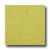 Armstrong Armstrong Mystix 16 X 16 Chroma Stone Citron Vinyl Flooring