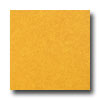 Armstrong Armstrong Mystix 16 X 16 Chroma Stone Sol Yellow Vinyl Flooring