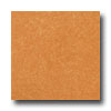 Armstrong Armstrong Mystix 16 X 16 Chroma Stone Spice Vinyl Flooring