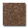 Armstrong Armstrong Mystix 12 X 12 Burl Wood Walnut Vinyl Flooring