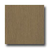 Armstrong Armstrong Mystix 18 X 18 Aria Bronze Vinyl Flooring