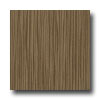 Armstrong Armstrong Mystix 18 X 18 Stream Bronze Vinyl Flooring