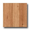 Nafco Nafco Dorchester Plank Hemlock Vinyl Flooring