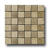 Emser Tile Emser Tile Antique  &  Tumbled Stone Mosaic Blends 2 X 2 Square Tr