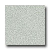 Armstrong Armstrong Safeguard Spa - Slip Retardant Granite Vinyl Flooring