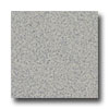 Armstrong Armstrong Safeguard Spa - Slip Retardant Light Gray Vinyl Floori