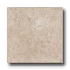 Armstrong Armstrong Units - Self-stick Overlook Ii Sandstone Vinyl Floorin