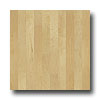 Stepco Stepco Domestics Loc Plank 3 1 / 2 Natural Birch Hardwood Flooring