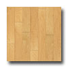 Stepco Stepco Domestics Loc Plank 5 Natural Maple Hardwood Flooring