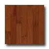 Stepco Stepco Exotics Loc 3 1 / 2 Brazilian Cherry Hardwood Flooring